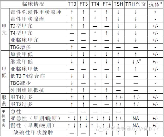 解读甲状腺激素各检测指标这一篇就足够了