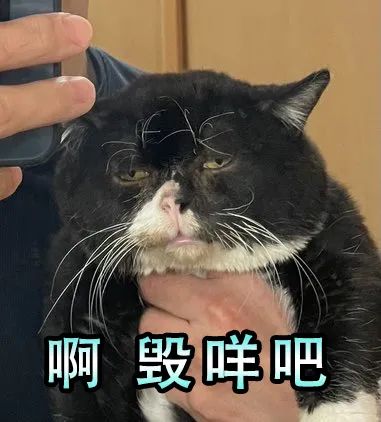 眼,当大家发现monta眼神涣散,浮肿疲惫的脸上略过一丝似有若无的苦笑