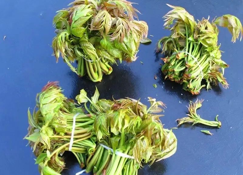 夏天,弥河银瓜上市了,沙地里出来的一点甜.