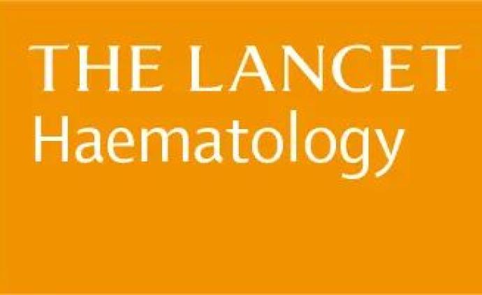 澎湃新闻 专注时政与思想 thepaper.cn