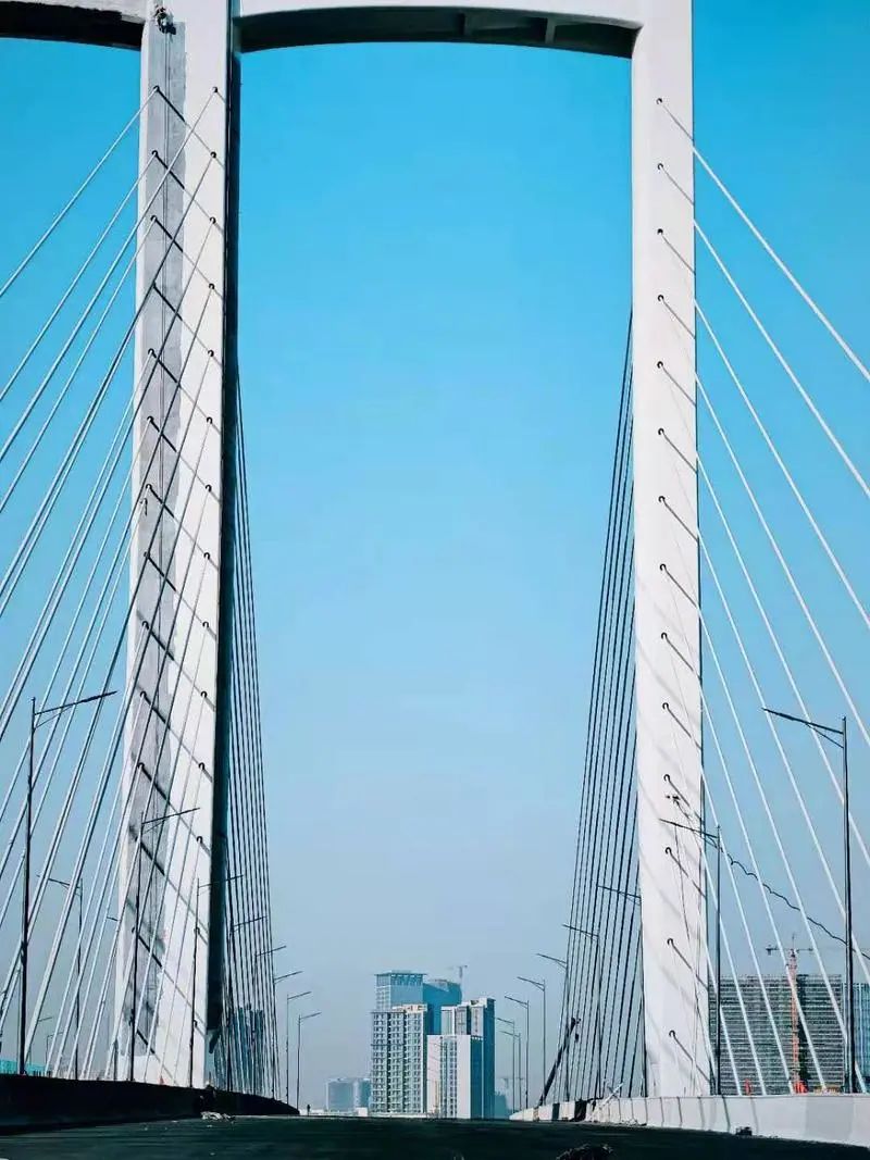 春节前完成主线通车番海大桥传来好消息