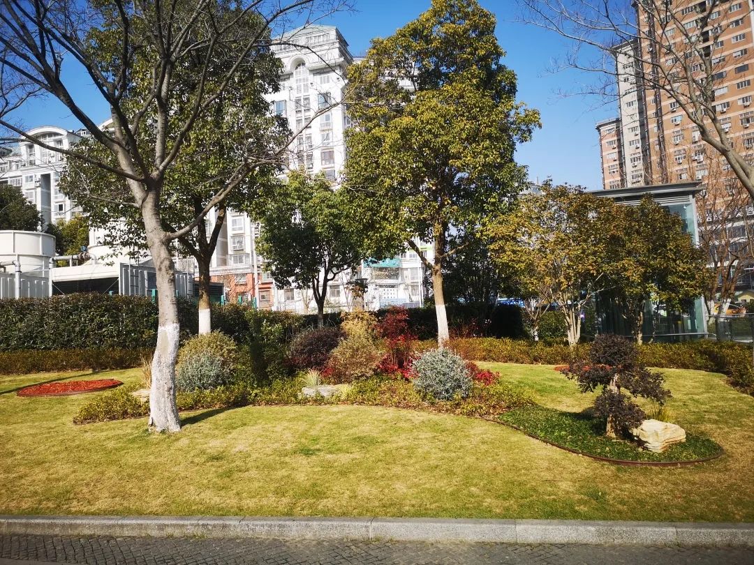 美丽无锡我的家东林广场焕新了