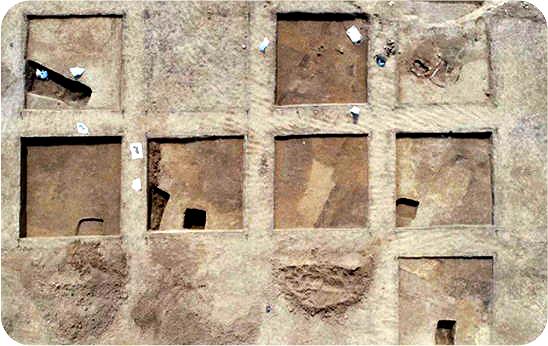 贾柏遗址04.金口坝05.王因遗址06.卞桥考试结束……你得了多少分?