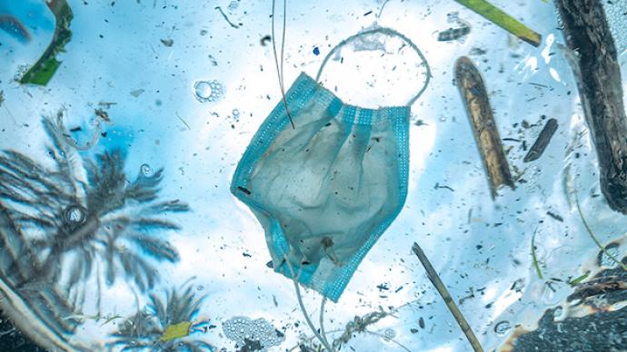 废弃口罩和隔离的海蛞蝓，2020年水下摄影大赛获奖者公布