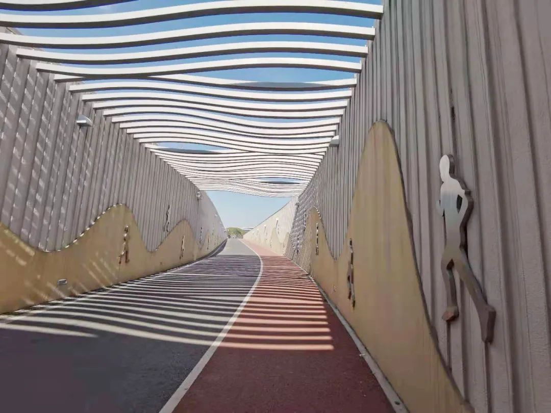 外环绿道的这条游客隧道已重新启用来看看沿线都有什么改变吧