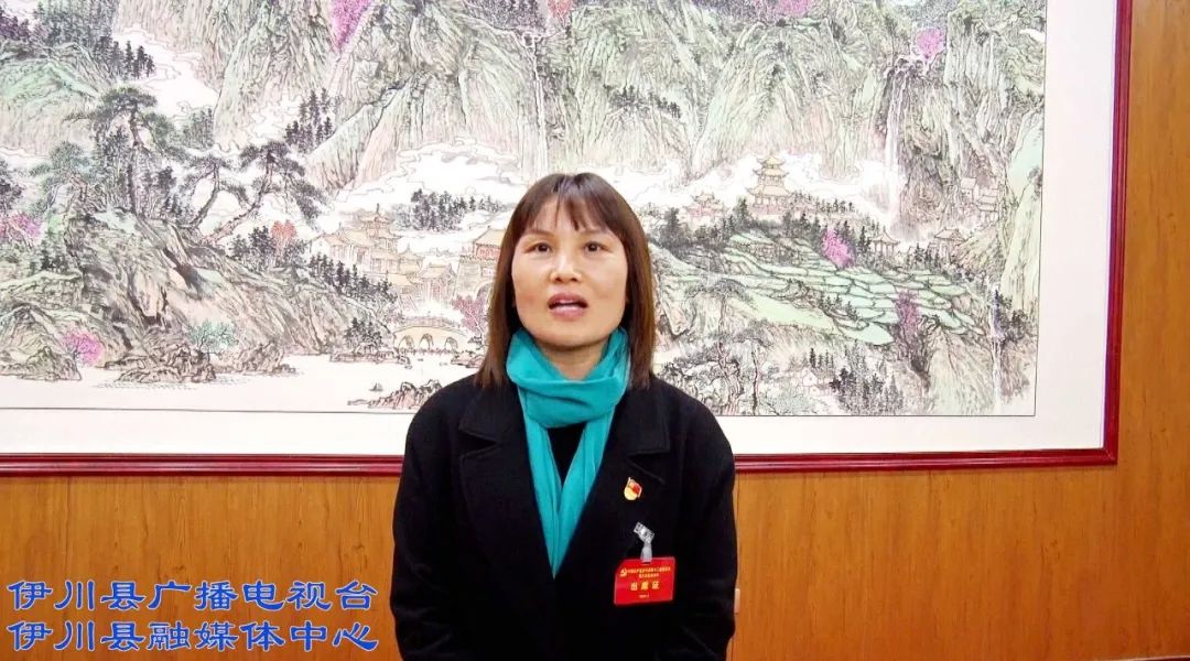 伊川委员热议县委全会报告