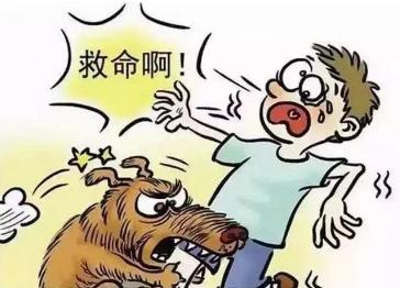 烈性犬违规上路饲养者遛狗者谁之过