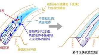 出汗是为了防止手滑？是的，这是真的