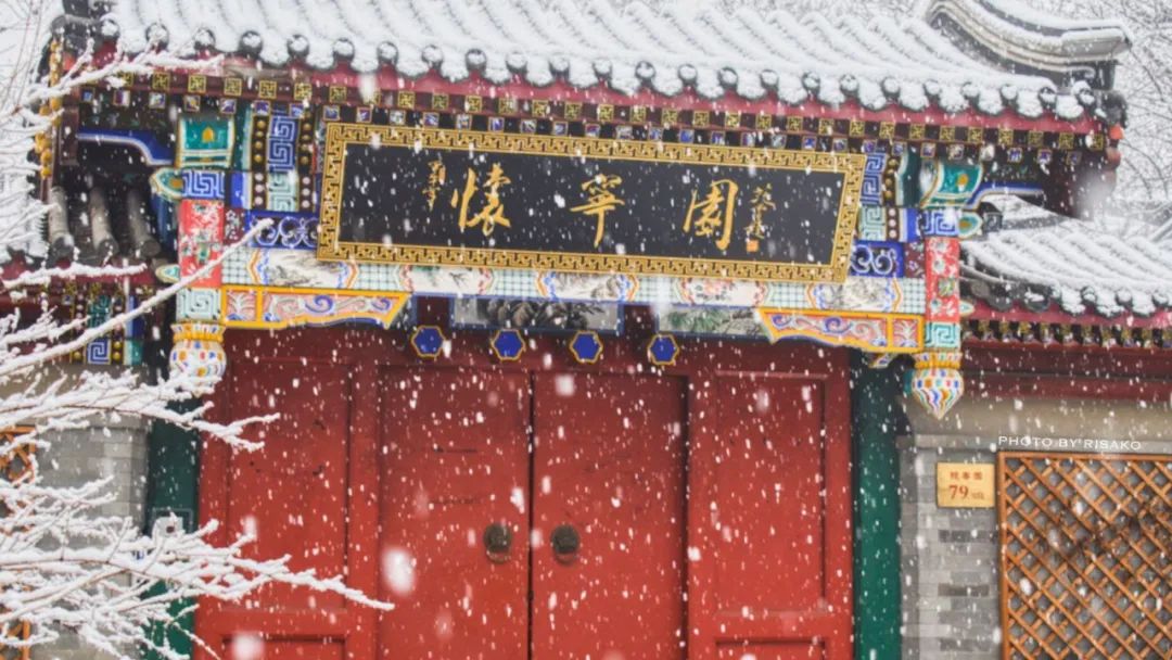 此间雪落北大上新