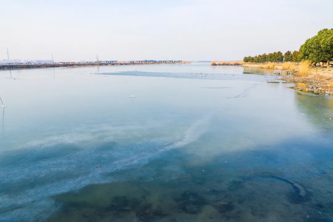 雪落漾整治后放眼望去,雪落漾十分宽阔,往昔非法