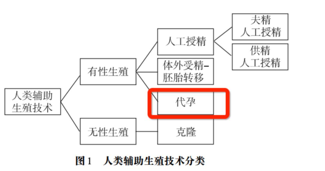 代孕伦理问题_代孕法律禁止_马来西亚代孕政策