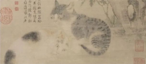 喵！十二生肖里为什么没有猫？