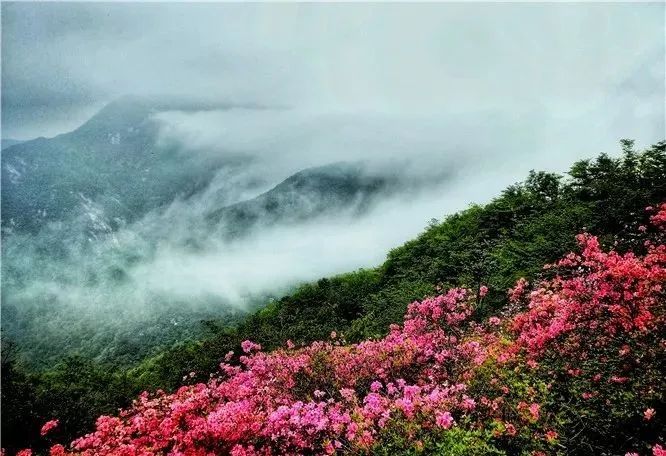 英山四季花海▼悠悠度過一段慢時光秋季賞紅葉,冬日拍雪景春天看桃花