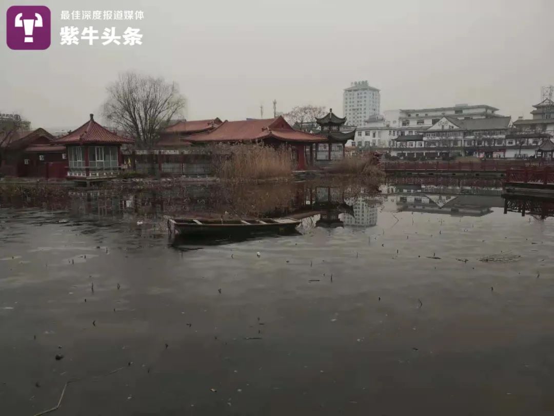 1月15日下午,扬子晚报紫牛新闻记者来到了凤鸣公园,事发地点位于园内
