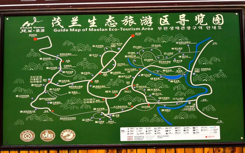 点赞|贵州茂兰保护区获批成为全国自然教育基地