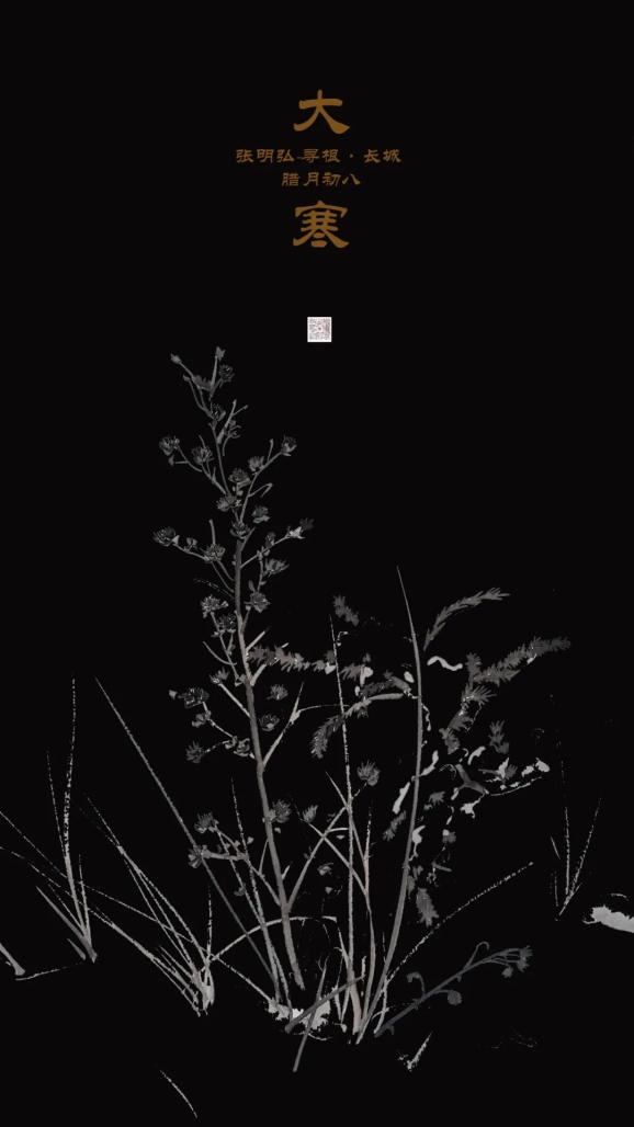 什么露什么芒成语_六芒盾通庆手链是什么(3)