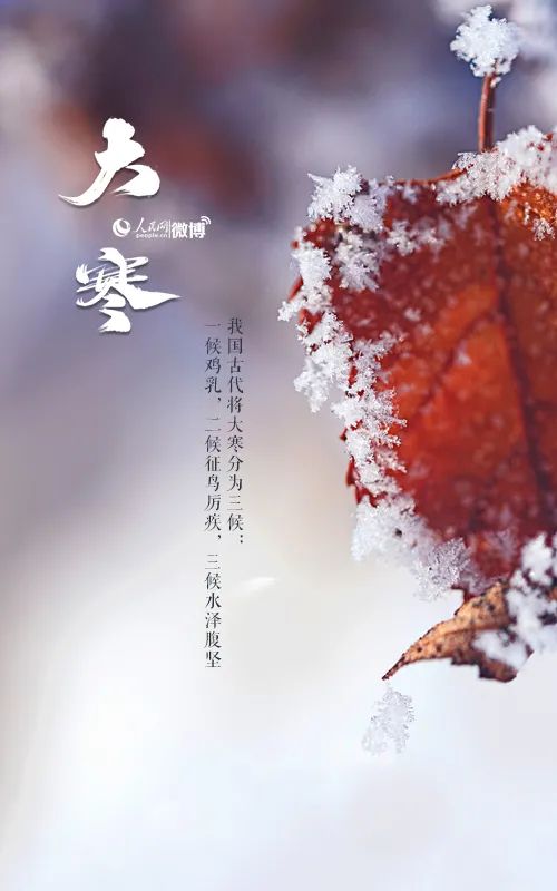 当大寒遇上腊八