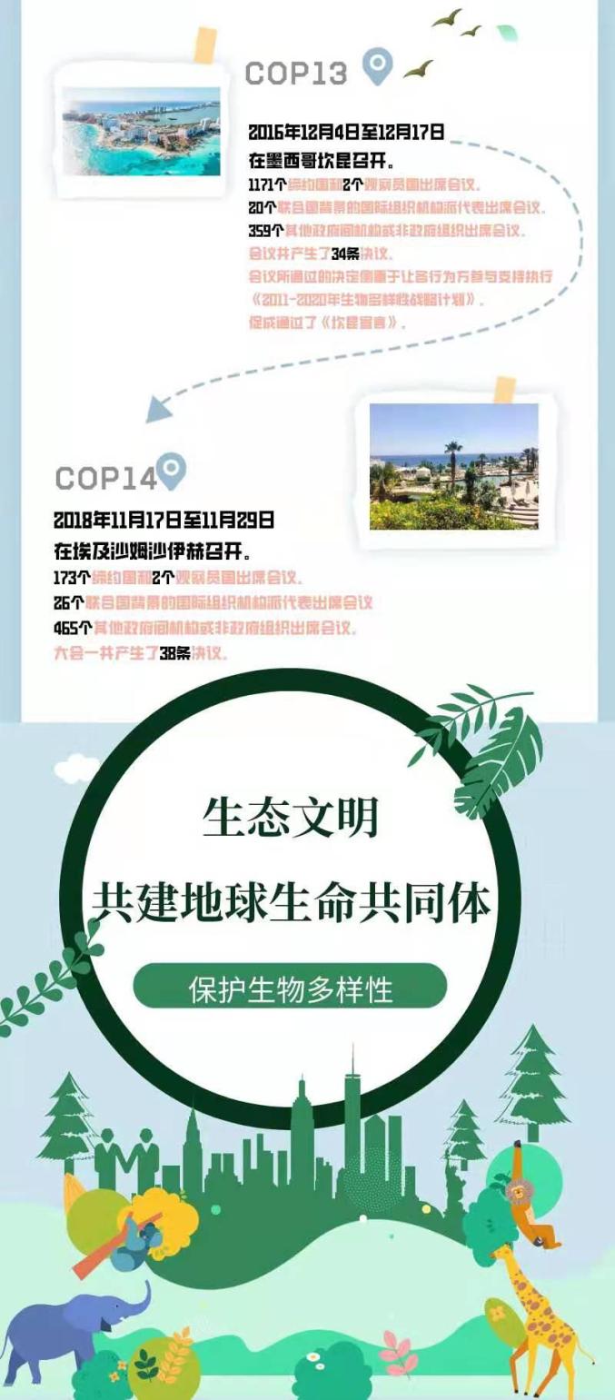 cop15我们在行动一图读懂历届生物多样性公约缔约方大会cop概况