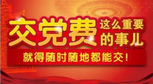 什么党费还能这样缴