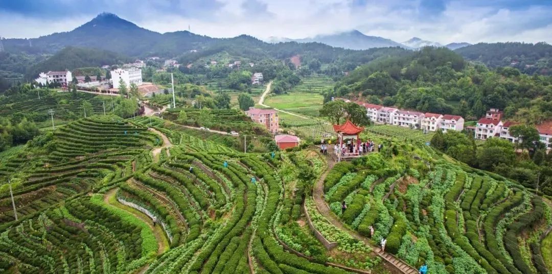 西河十八湾就该这么玩