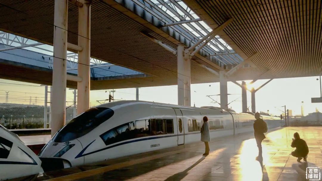 话洛阳坐高铁忘带口罩可以免费领了