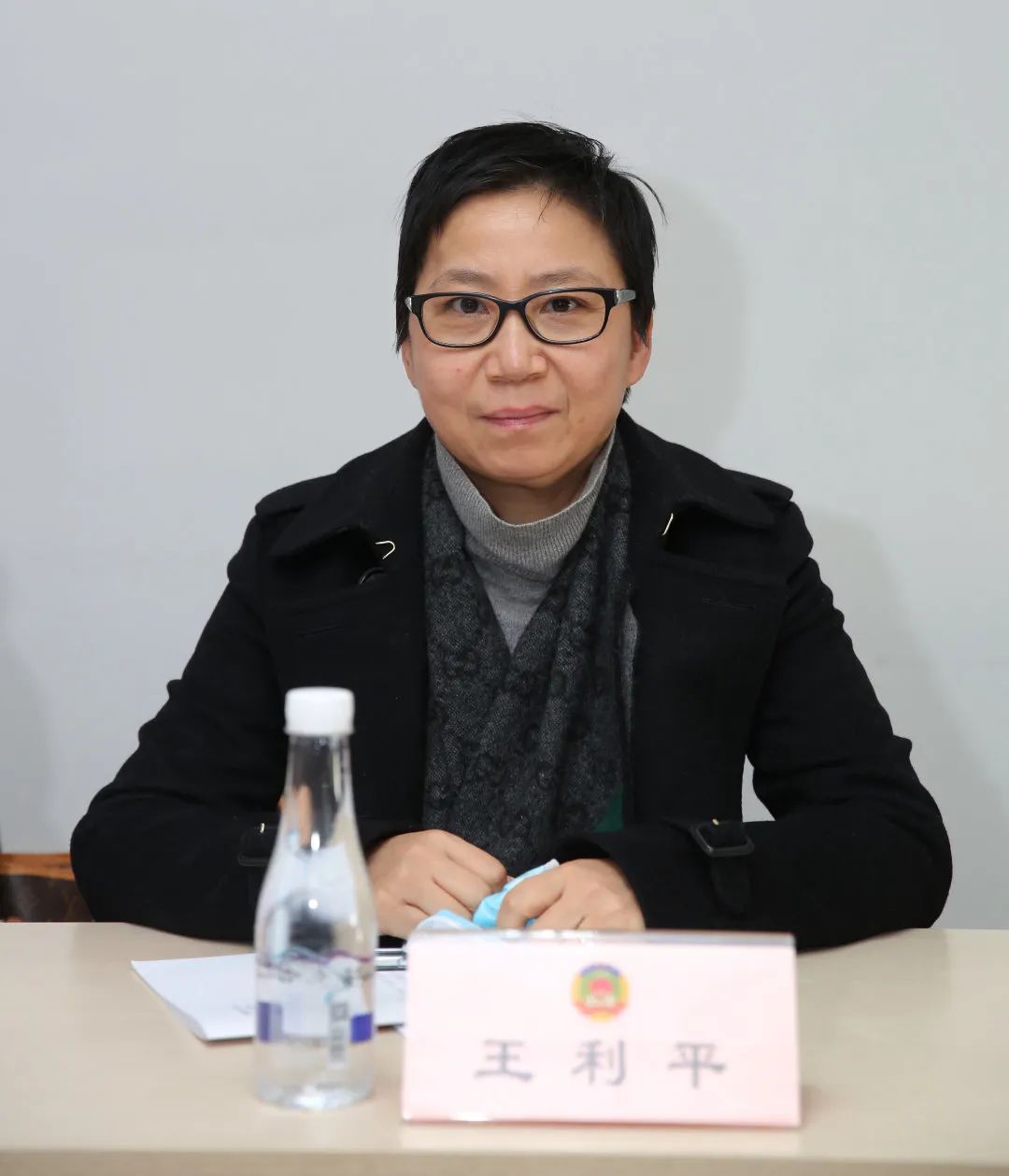 全会委员们讨论区政府工作报告