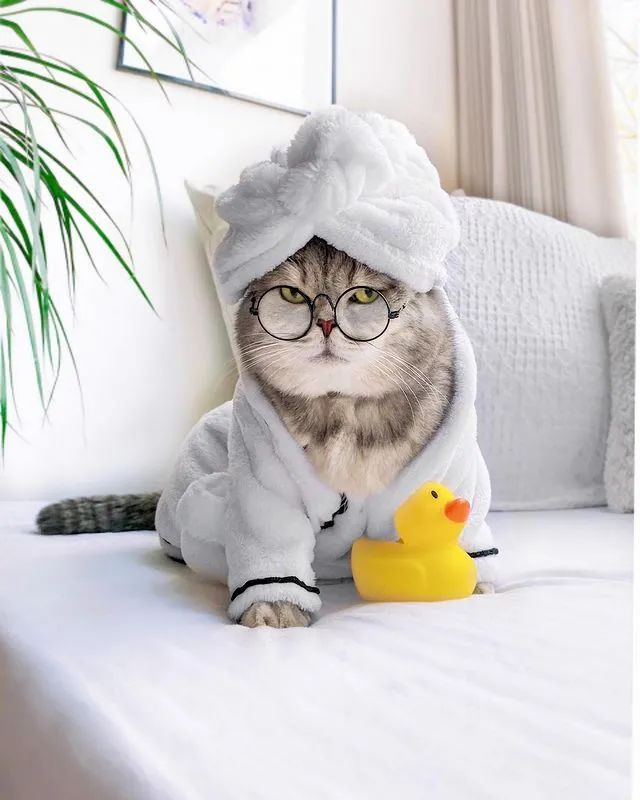 贵族"出浴照" 上流上流