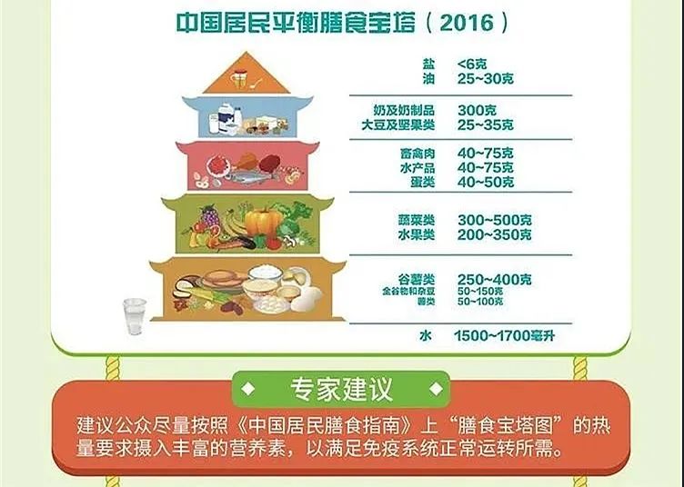 中国膳食金字塔2021图片