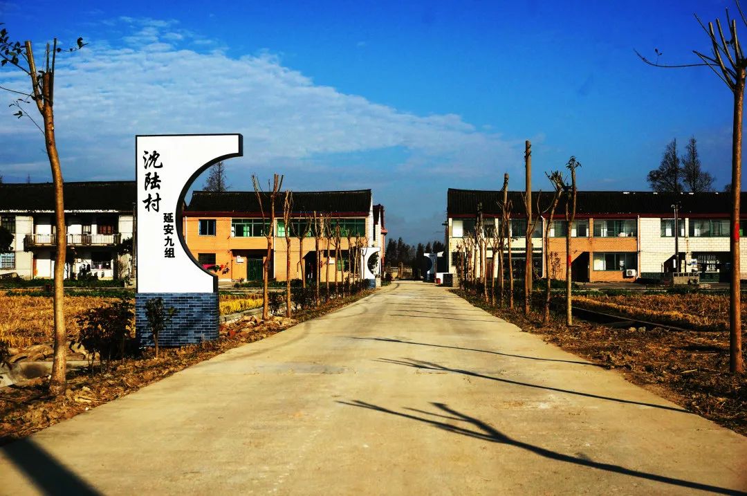 2020年度文明之城美在奉贤十大最美系列创评之最美宅基