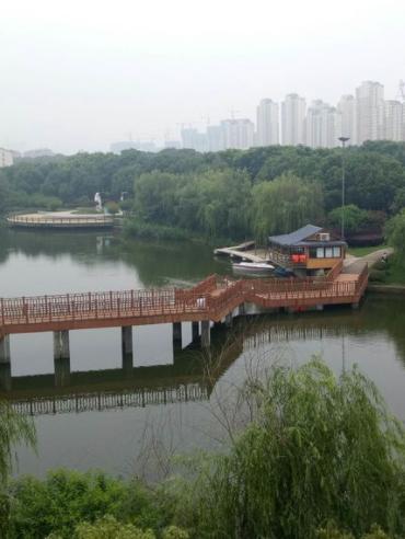 水质实现乔木,灌木交错种植同时栽植近100种植物实现了水系贯通南兴