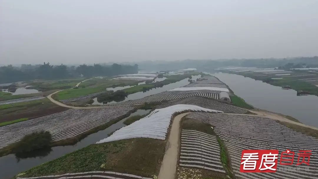 长滩镇将实干推到基层治理的最前沿