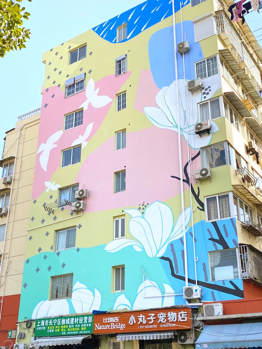 真美这个小区外墙穿上了彩绘新衣