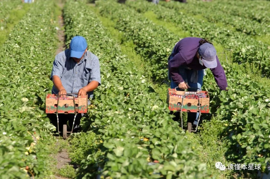 墨西哥留守儿童背后,是牵动着美墨两国的社会难题