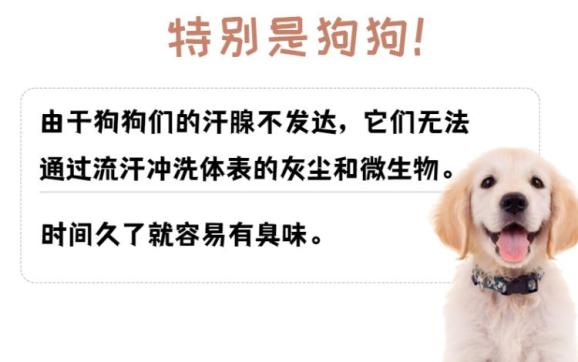 禅城优品⑤想了解能瞬间解决宠物异味的黑科技吗赶紧来戳