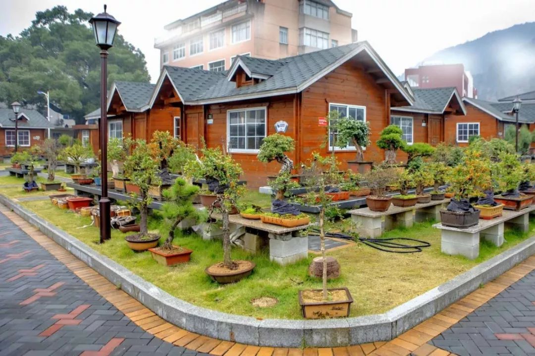 向东行驶不到2公里,就到了海游街道"盆景村"前郭村