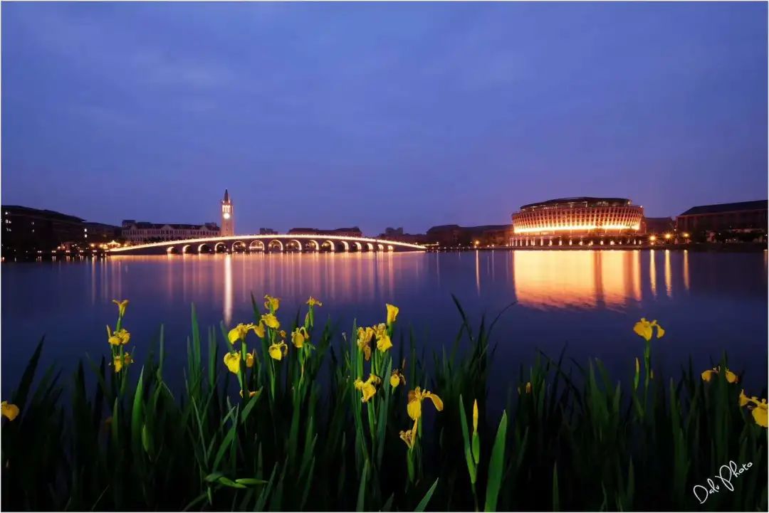 爱了逐梦的夜浙大与你温暖相伴