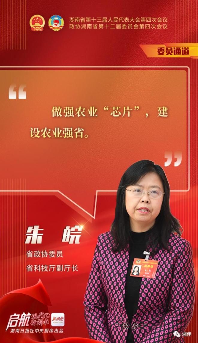 开幕湖南首个委员通道亮相