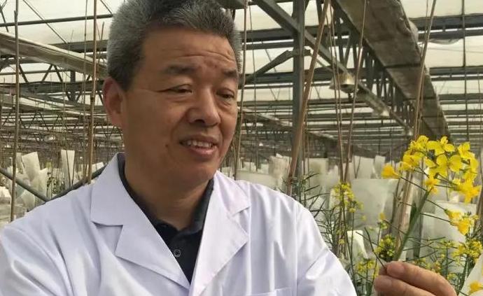 穆建新:提质增效 打好油菜种业翻身仗