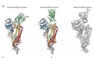 冷冻电镜，新冠病毒研究得以进步的技术支持