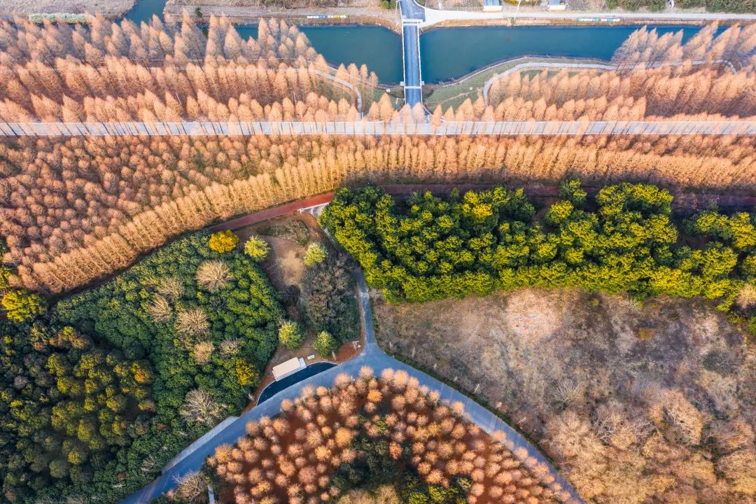 空中俯瞰美崇明这颗冉冉升起的明珠