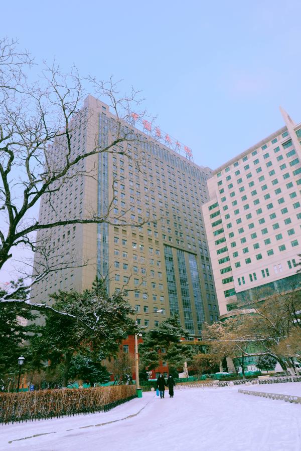 冬天里的中国医大一院如此迷人