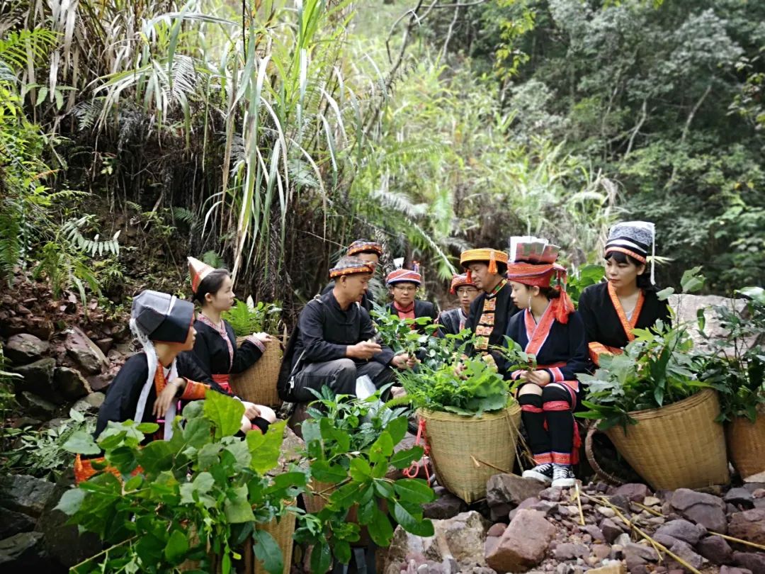 金秀瑶医药要大火将纳入医保范围