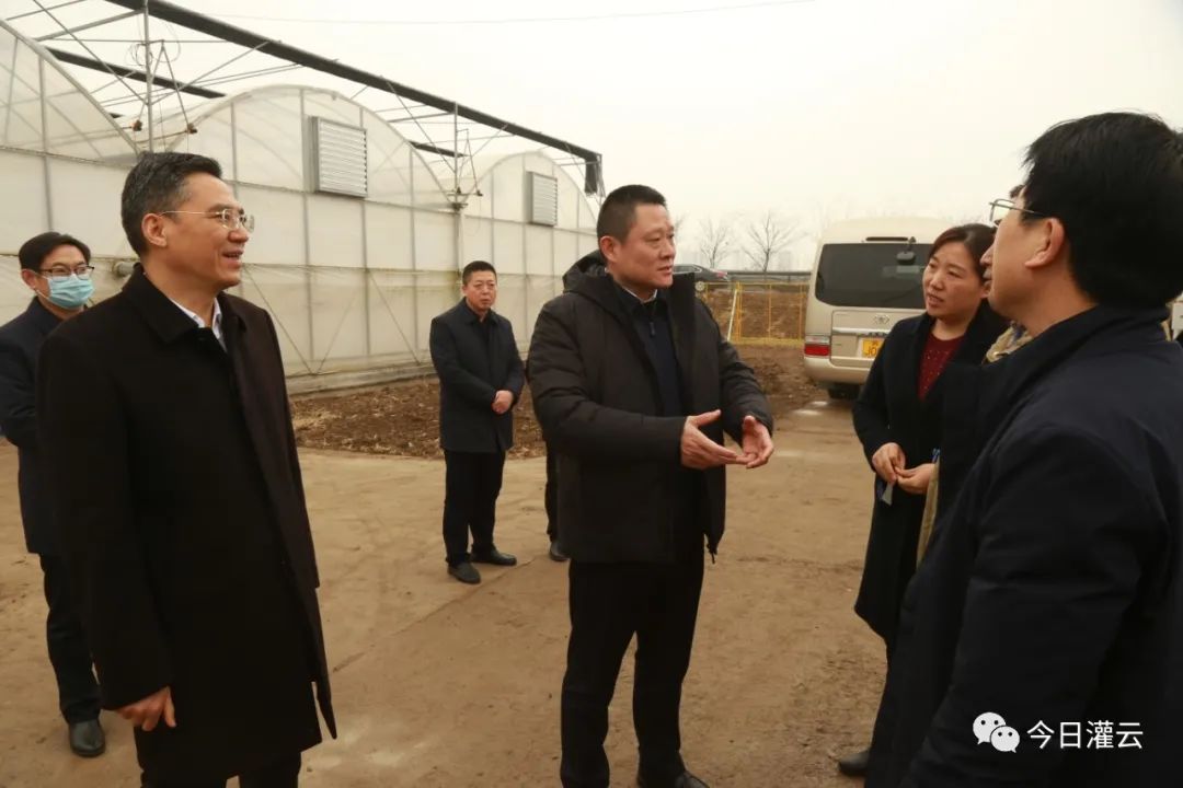 县领导调研全县农业农村工作