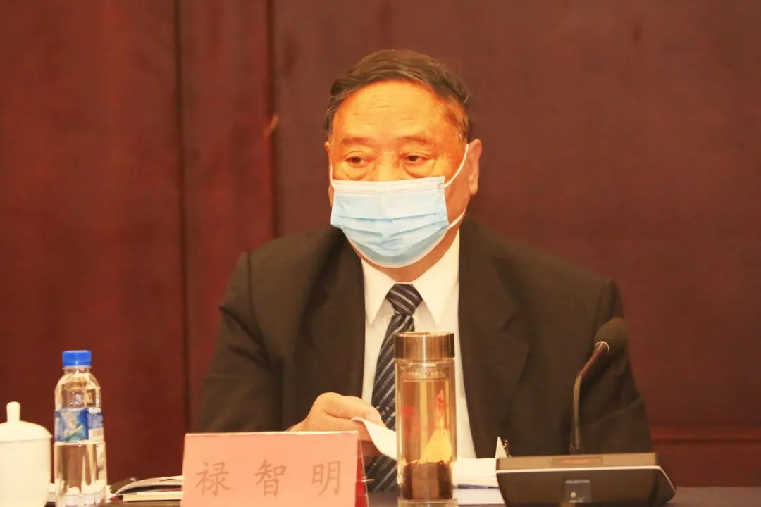 禄智明,张集智,张翊皓,王彤,吴东来,杨新江,陈波等代表参加审议审查.