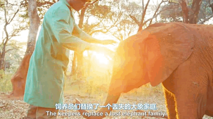 豆瓣98完美星球开年封神作又一次被震撼到五体投地