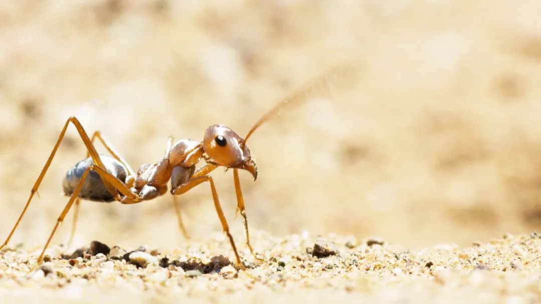 豆瓣98完美星球开年封神作又一次被震撼到五体投地