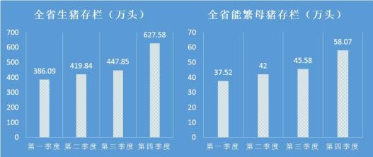 浙江能繁母猪存栏仅58万头