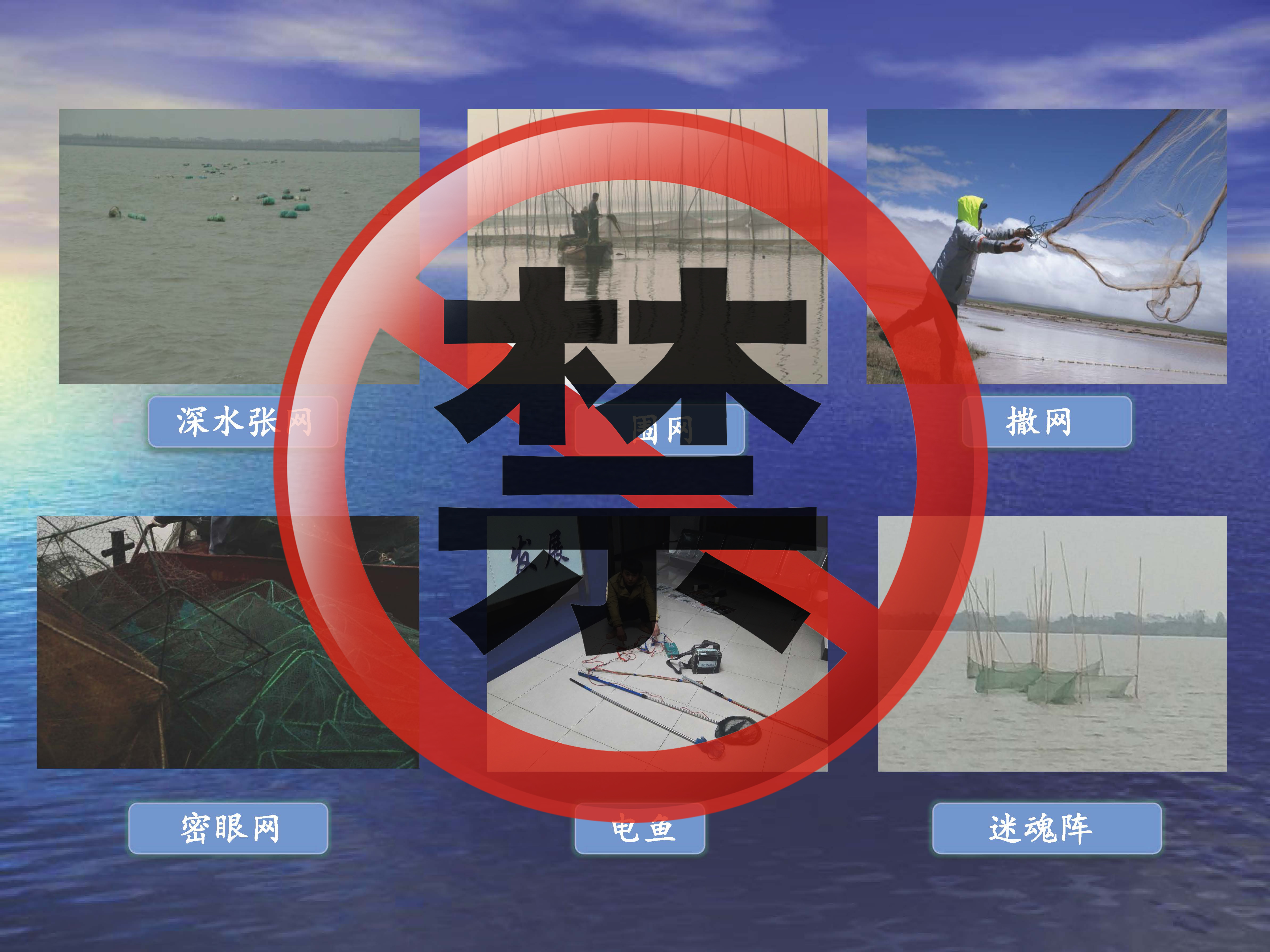 部关于长江干流实施捕捞准用渔具和过渡渔具最小网目尺寸制度的通告》