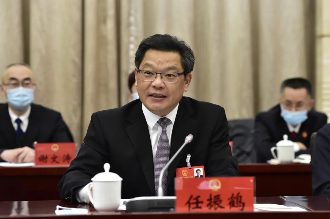 任振鹤在酒泉代表团参加审议政府工作报告