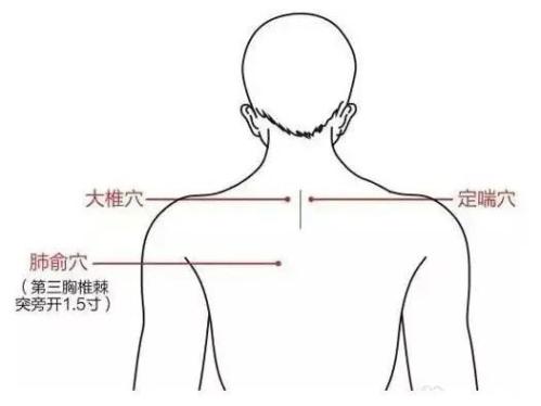 肺俞穴是治療肺臟疾病的重要穴位,臨床上常用於改善肺臟功能.